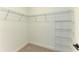 Walk-in closet with wire shelving installed at 10614 Morning Marsh Ln, Parrish, FL 34219