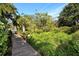 Picturesque wooden walkway through lush greenery and palm trees on a sunny day at 1610 Treehouse Cir # T130, Sarasota, FL 34231