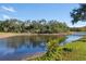 The tranquil pond reflects the sky and surrounding foliage, creating a picturesque natural scene at 2439 Sonoma W Dr, Nokomis, FL 34275