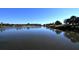Calm pond surrounded by green vegetation, reflecting the blue sky on a sunny day at 3153 Founders Club Dr, Sarasota, FL 34240