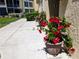 Charming walkway lined with vibrant flowering plants in pots, leading to the building entrance at 3719 Lake Bayshore Dr # H-204, Bradenton, FL 34205