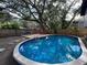 Backyard pool surrounded by lush greenery offers a private outdoor escape at 4705 Hollingsworth Ave, Sarasota, FL 34233