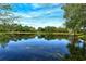 Scenic pond view with lush greenery and trees reflecting the clear blue sky in a serene community setting at 7137 Orchid Island Pl, Bradenton, FL 34202