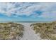 Scenic path leading to the beach with lush greenery and ocean views at 1912 Harbourside Dr # 602, Longboat Key, FL 34228
