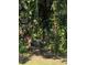 Tire swing hanging from the tree in the backyard at 2070 59Th St, Sarasota, FL 34243