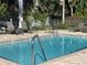 Community pool on a sunny day with lounge chairs and metal access ladders at 2224 Bahia Vista St # E6, Sarasota, FL 34239