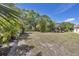 Large backyard with mature trees and partial view of the pond provides a serene outdoor living space at 2403 Aspinwall St, Sarasota, FL 34237