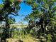 Lush backyard view featuring mature trees and partial water views at 306 Barlow Ave # 77, Sarasota, FL 34232