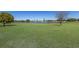 Expansive backyard with well-manicured lawn and scenic pond view, perfect for outdoor activities and relaxation at 4606 Lake Fox Pl, Parrish, FL 34219