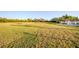 Expansive grassy field for community activities and recreation, perfect for outdoor events and games at 4706 Cayo Costa Pl, Bradenton, FL 34203