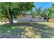 Large backyard with mature trees, green grass, and partial shade, perfect for outdoor activities and relaxation at 5311 San Jose Dr, Sarasota, FL 34235