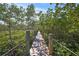Picturesque dock walkway lined with lush greenery provides a private waterfront escape at 700 Tropical Cir, Sarasota, FL 34242