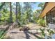 Spacious backyard with greenery, mature trees, a fish pond, and a chain-link fence at 8036 Conservatory Cir, Sarasota, FL 34243