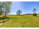 Expansive grassy backyard is highlighted by mature shade trees on a sunny day at 9902 284Th St E E St, Myakka City, FL 34251