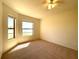 Well-lit bedroom with a large window and plush carpeting at 11331 Bertolini Dr, Venice, FL 34292