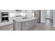 This kitchen features stainless steel appliances, a stylish island, and white cabinets at 11717 Blue Hill Trl, Lakewood Ranch, FL 34211