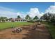 A lovely community playground has soft ground cover, open green spaces, and diverse play equipment at 11717 Blue Hill Trl, Lakewood Ranch, FL 34211