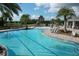 Stunning community swimming pool featuring shallow entry, palm trees, lounge chairs and manicured landscaping at 11717 Blue Hill Trl, Lakewood Ranch, FL 34211