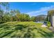 Expansive backyard with lush green grass, mature trees, and a screened-in pool enclosure at 13955 Pine Woods E Ln, Sarasota, FL 34240