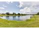 Scenic pond view surrounded by lush greenery, creating a serene backyard at 19993 Benissimo Dr, Venice, FL 34293