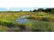 Serene wetlands landscape with tall grasses, small ponds, and diverse vegetation, showcasing natural beauty and tranquility at 388 Aruba Cir # 201, Bradenton, FL 34209