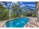 A screened pool is surrounded by verdant trees, creating a private outdoor oasis for relaxation at 4015 Celestial Blue Ct, Bradenton, FL 34211
