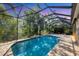 Gorgeous backyard pool is enclosed, providing privacy and a clear view of the trees around it at 4015 Celestial Blue Ct, Bradenton, FL 34211
