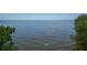 Beautiful view of serene water, framed by green foliage, creating a peaceful and inviting natural scene at 5723 Title Row Dr, Bradenton, FL 34210