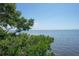 A tranquil view of open water and sky peeks through vibrant green trees and foliage, offering a serene landscape at 5723 Title Row Dr, Bradenton, FL 34210