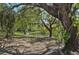 Picturesque pond view through mature trees covered in Spanish moss, creating a peaceful and inviting atmosphere at 610 147Th St E, Bradenton, FL 34212