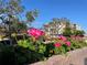 Exterior of the building with beautiful flowers in the foreground at 6269 Palma Del Mar S Blvd # 308, St Petersburg, FL 33715