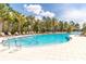 Gorgeous community pool with ample lounge seating, clear blue water, and towering palm trees at 1570 Ludington Ave, Wesley Chapel, FL 33543