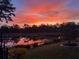 Scenic sunset over a calm lake, framed by trees and lush greenery, creating a serene view at 2259 Midnight Pearl Dr, Sarasota, FL 34240