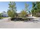 Inviting home exterior with lush trees, a gravel driveway, and well-kept landscaping at 2316 Bradford St, Sarasota, FL 34231