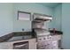 Outdoor kitchen complete with grill, granite countertop, storage, and stainless steel features at 29527 Leah Rd, Punta Gorda, FL 33982