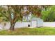 Well-maintained backyard featuring a storage shed, beautiful tree, lush lawn and a white fence for privacy at 504 Whitfield Ave, Sarasota, FL 34243