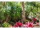 Lush backyard featuring beautiful tropical foliage, plants, and privacy fencing at 5512 Avenida Del Mare, Sarasota, FL 34242