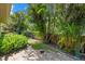 Lush backyard with mature palm trees, shrubs and a wooden fence at 7205 Wood Creek Dr # 16, Sarasota, FL 34231