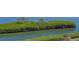 Scenic water view showcasing the rich mangrove ecosystem along the tranquil shoreline at 2020 Harbourside Dr # 454, Longboat Key, FL 34228