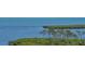 Picturesque water view featuring mangrove trees and the calm bay waters on a clear day at 2020 Harbourside Dr # 454, Longboat Key, FL 34228