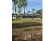 Enclosed backyard featuring a bird bath, manicured lawn and tall palm trees at 3052 51St St, Sarasota, FL 34234