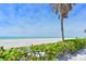 Scenic beach with a palm tree, white sand, and the ocean in the background, framed by green vegetation at 3802 Gulf Of Mexico Dr # A103, Longboat Key, FL 34228