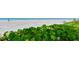 Beautiful beach view featuring white sand, clear ocean water, and lush greenery in the foreground at 3802 Gulf Of Mexico Dr # A103, Longboat Key, FL 34228