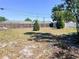 Wide backyard with mature trees, partial fencing, and a shed at 6408 2Nd W Ave, Bradenton, FL 34209