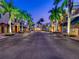 Night street view flanked by palm trees and shops, creating an inviting and vibrant atmosphere at 6605 Waters Edge Way, Lakewood Ranch, FL 34202