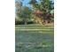 Spacious backyard with green grass and mature trees, offering a serene and peaceful outdoor setting at 7036 Clark Rd, Sarasota, FL 34241