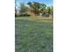 Expansive backyard featuring lush grass, mature trees, and charming decorative elements at 7036 Clark Rd, Sarasota, FL 34241