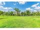 Expansive, well-maintained backyard featuring healthy, green grass at 10015 Marbella Dr, Bradenton, FL 34211