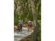 Gathering enjoying a scenic walk along a paved path, surrounded by lush greenery and mature trees at 11716 Strandhill Ct, Lakewood Ranch, FL 34202
