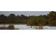 A serene lake view with a person paddle boarding amidst lush trees and vegetation at 11716 Strandhill Ct, Lakewood Ranch, FL 34202